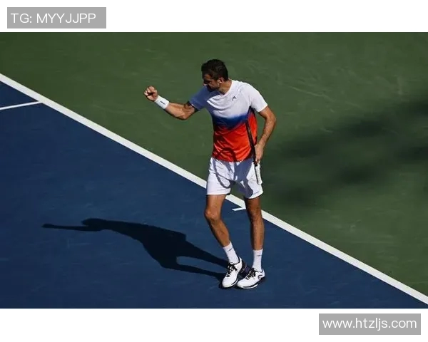 西里奇：从网球新星到世界冠军的辉煌历程与奋斗故事