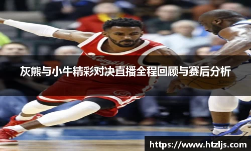 灰熊与小牛精彩对决直播全程回顾与赛后分析